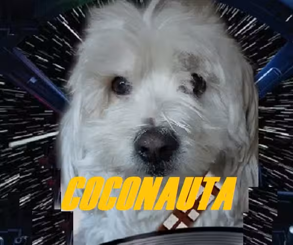 Coconauta Radio on line