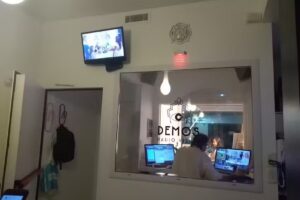 DEMOS Radio Visual