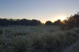 Fm Punta Del Indio 100.3