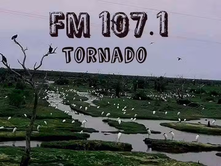 FM TORNADO
