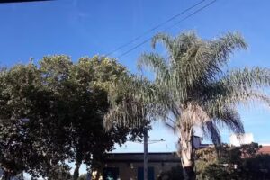 Multimedios Nuevo Mundo