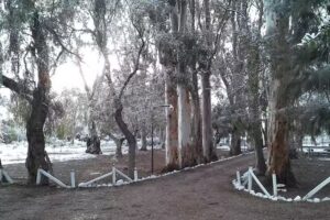 Planta Transmisora Lv6 Radio NIHUIL