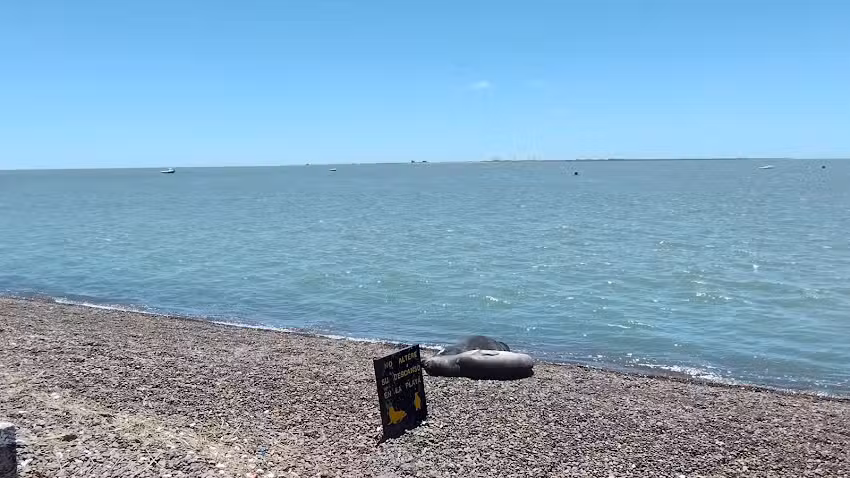 Radio Municipal San Blas 96.1Mhz