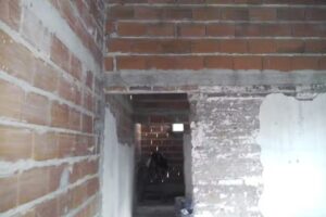 Radio Sembrando Vida