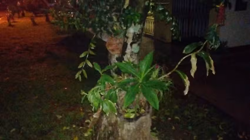 Radiodifusora San Javier Lt 45